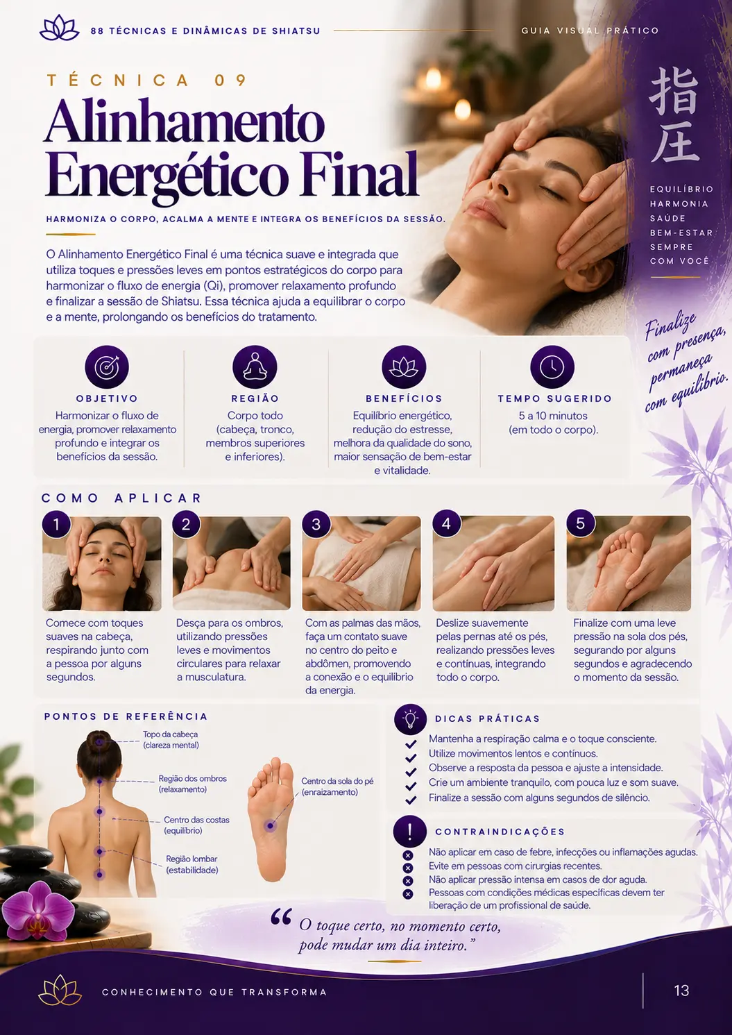 Página do material: Técnica 09 — Alinhamento Energético Final